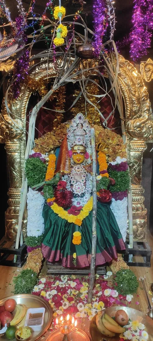మాత శ్రీ రాజశ్యామల దేవి