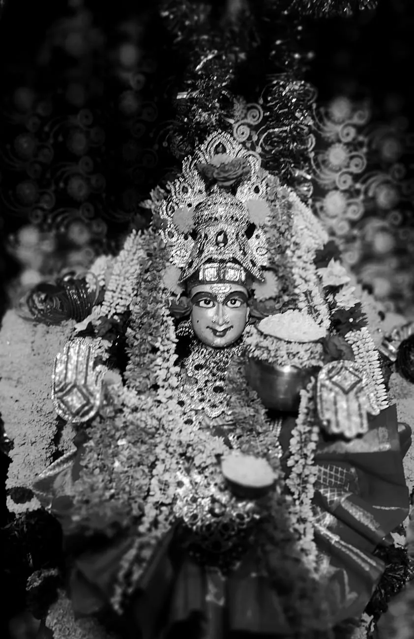 Mata Sri Raja Shyamala Devi