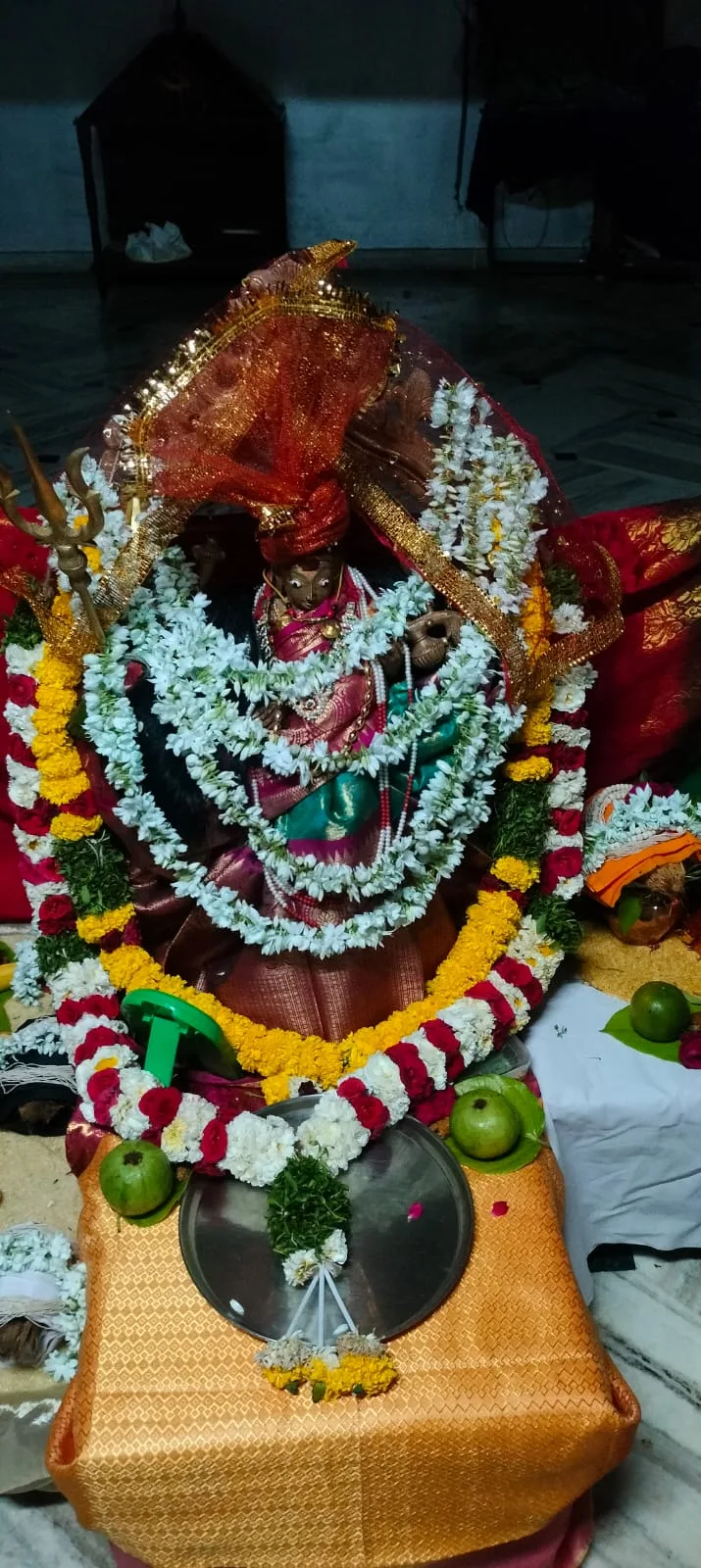 Mata Sri Raja Shyamala Devi