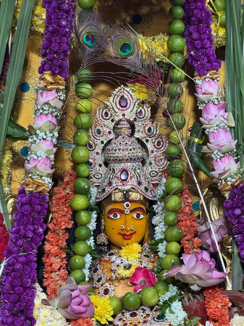 Mata Sri Raja Shyamala Devi