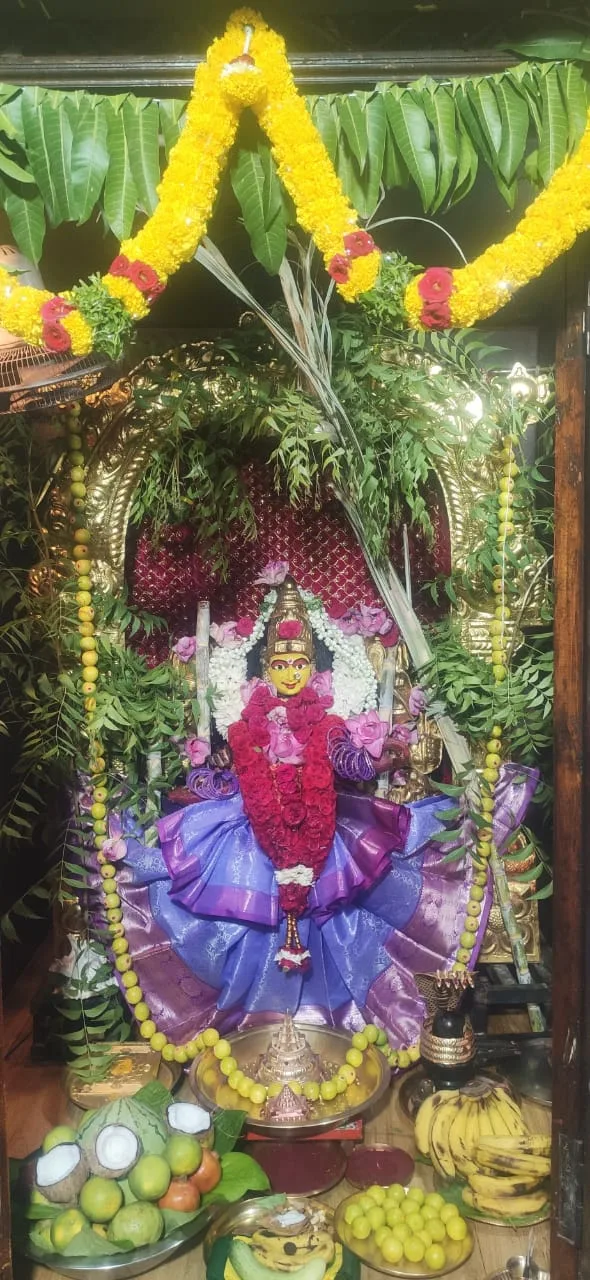Mata Sri Raja Shyamala Devi