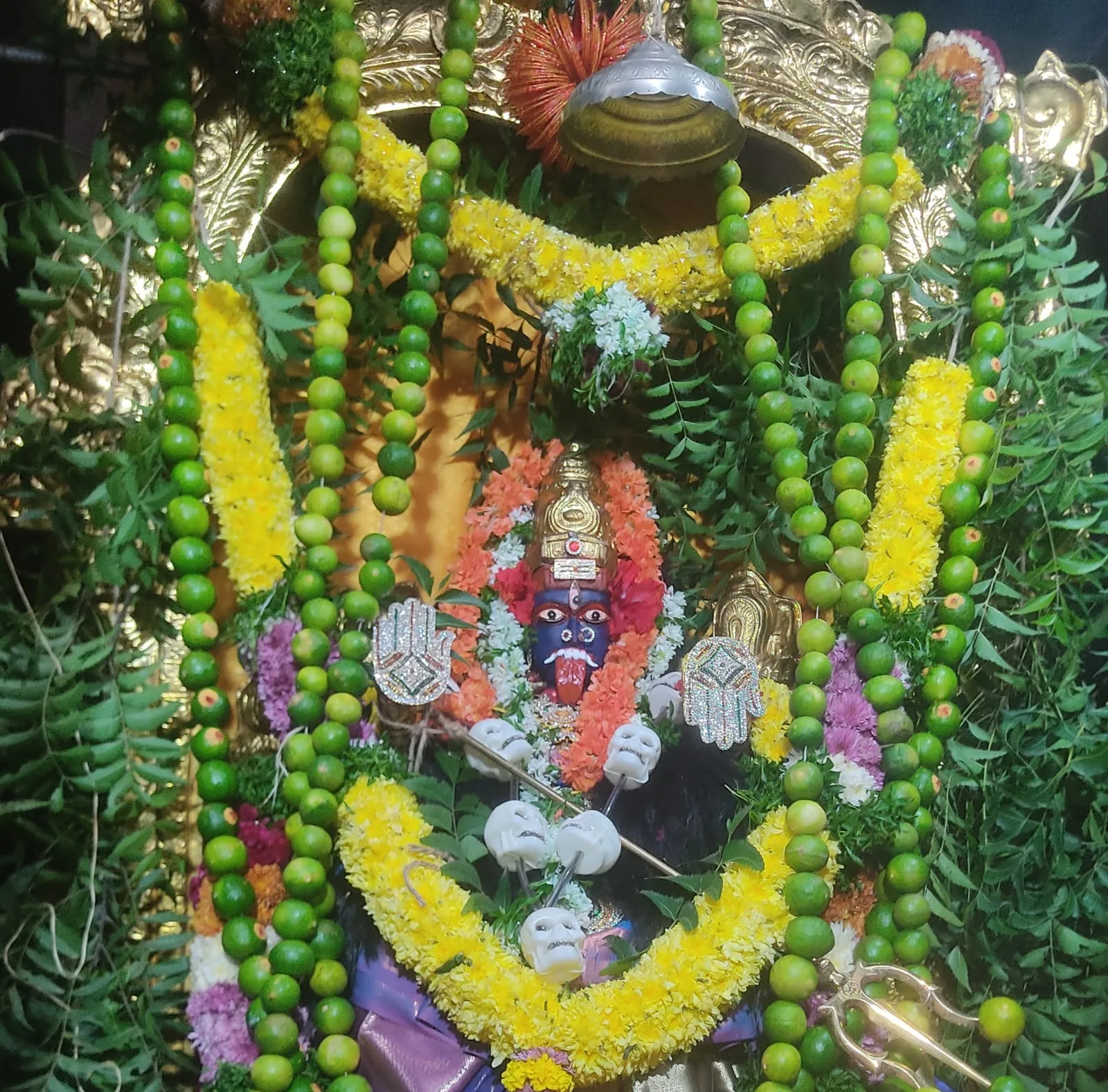 Mata Sri Raja Shyamala Devi