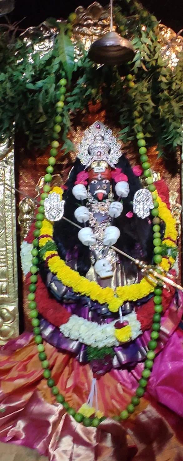 Mata Sri Raja Shyamala Devi