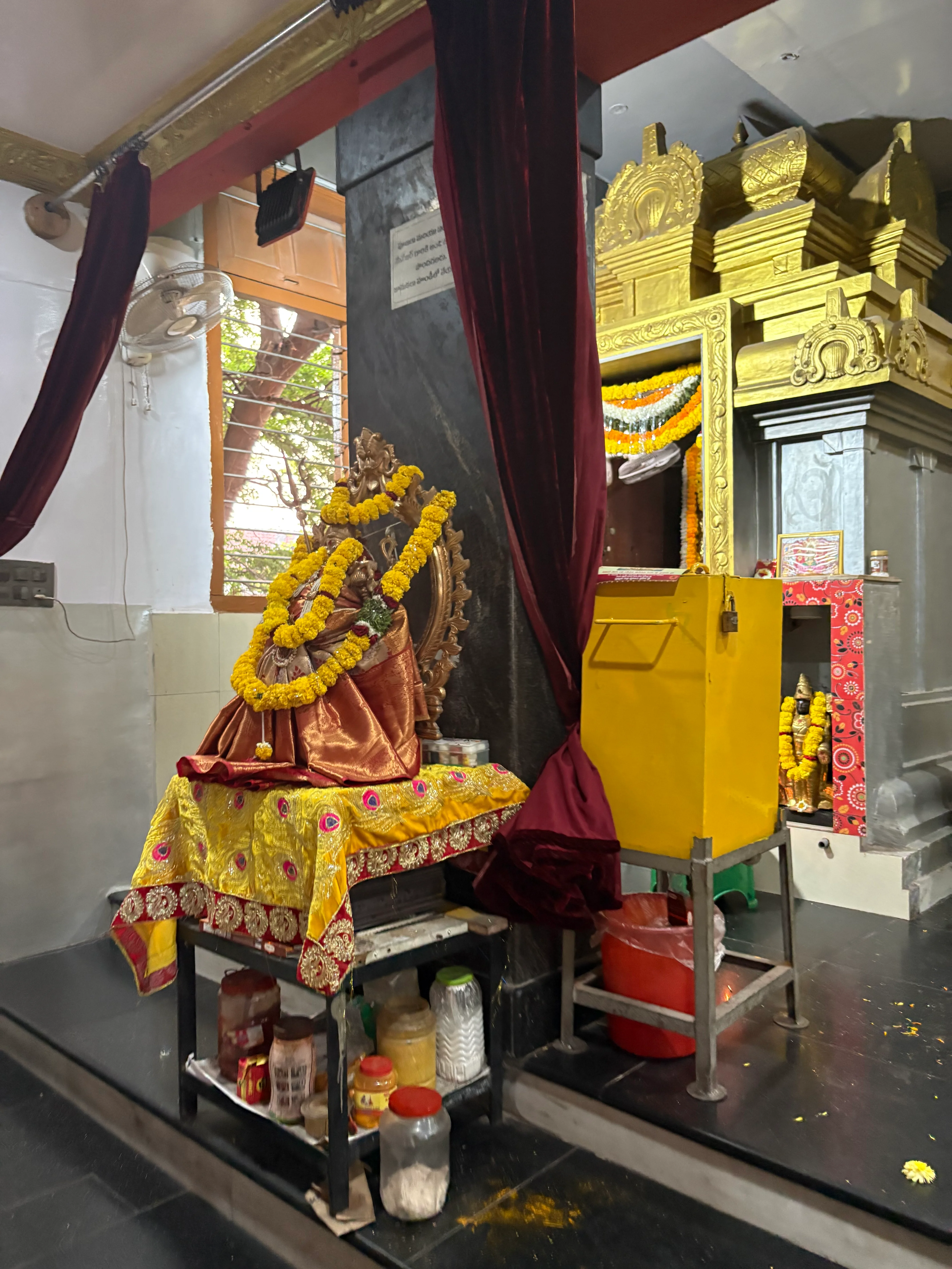 Mata Sri Raja Shyamala Devi
